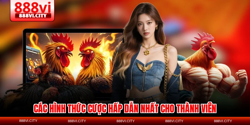 Các hình thức cược hấp dẫn nhất cho thành viên