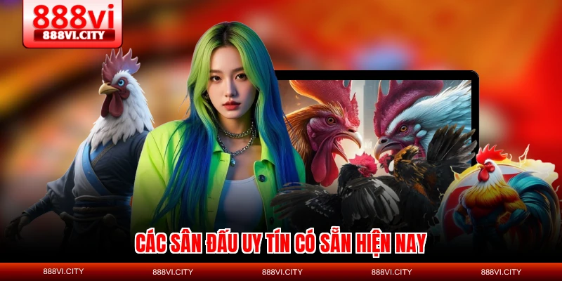 Các sân đấu uy tín có sẵn hiện nay