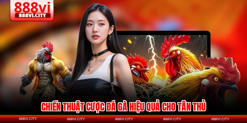 Chiến thuật cược đá gà hiệu quả cho tân thủ