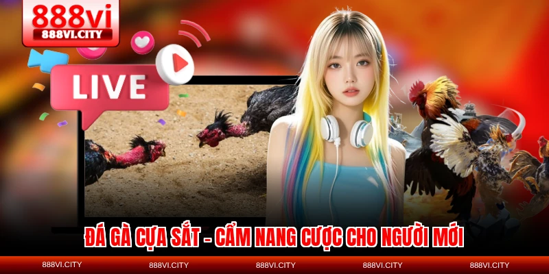 da ga cua sat cam nang cuoc cho nguoi moi