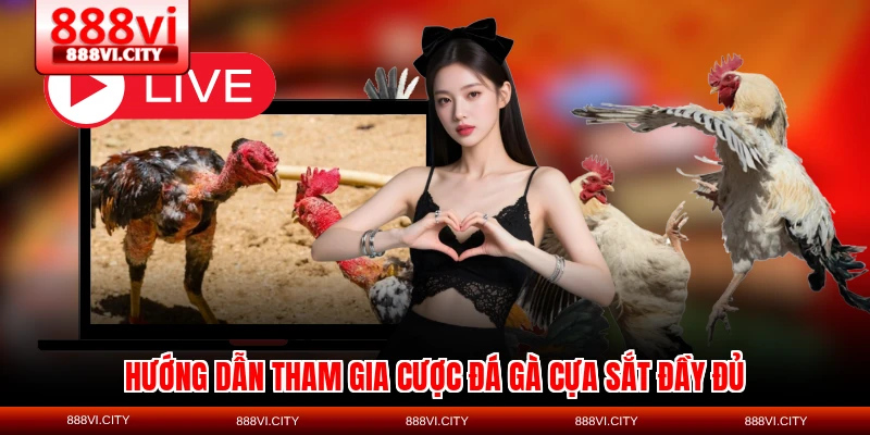 Hướng dẫn tham gia cược Đá gà cựa sắt đầy đủ