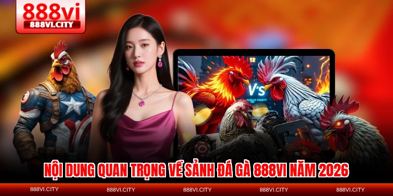 Nội dung quan trọng về sảnh đá gà 888VI năm 2026